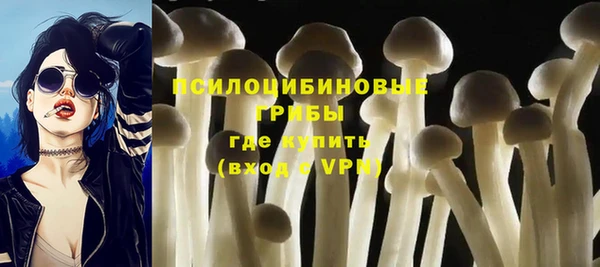 ешки Бородино