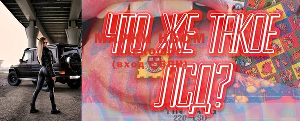 ешки Бородино