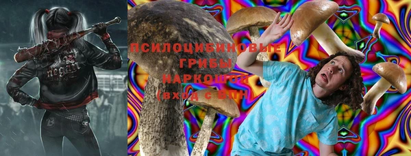 ешки Бородино