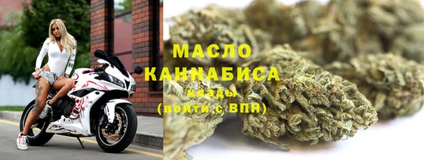 ешки Бородино
