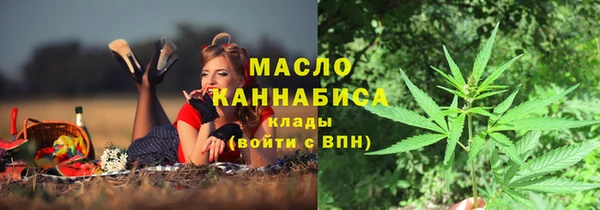 ешки Бородино